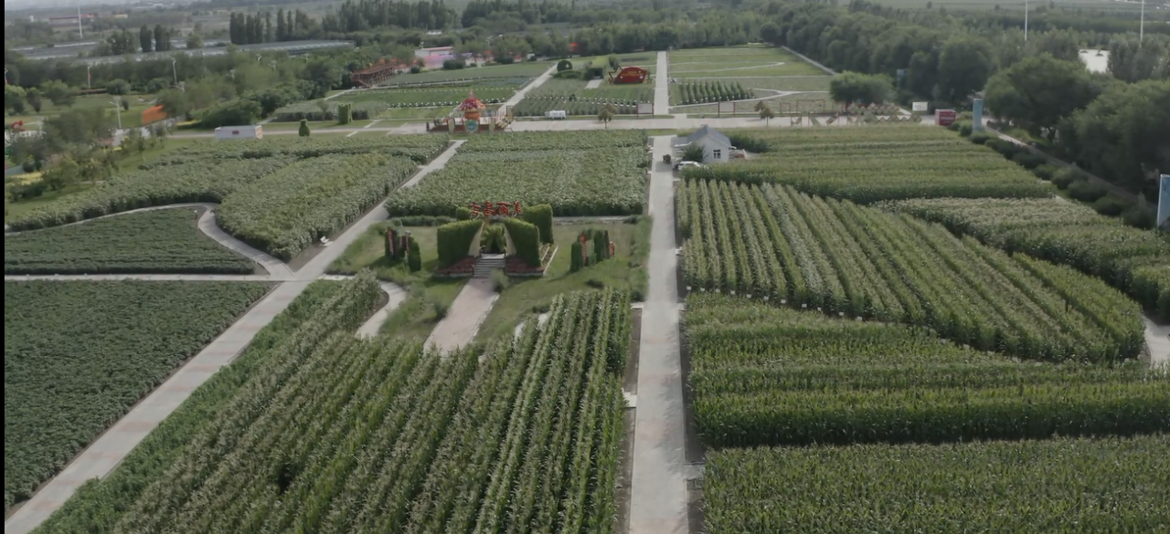 2022年重点强农惠农政策 加强对农业发展支持