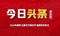 2024年春季主要农作物科学施肥指导意见