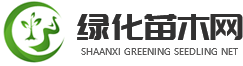 合作媒体
