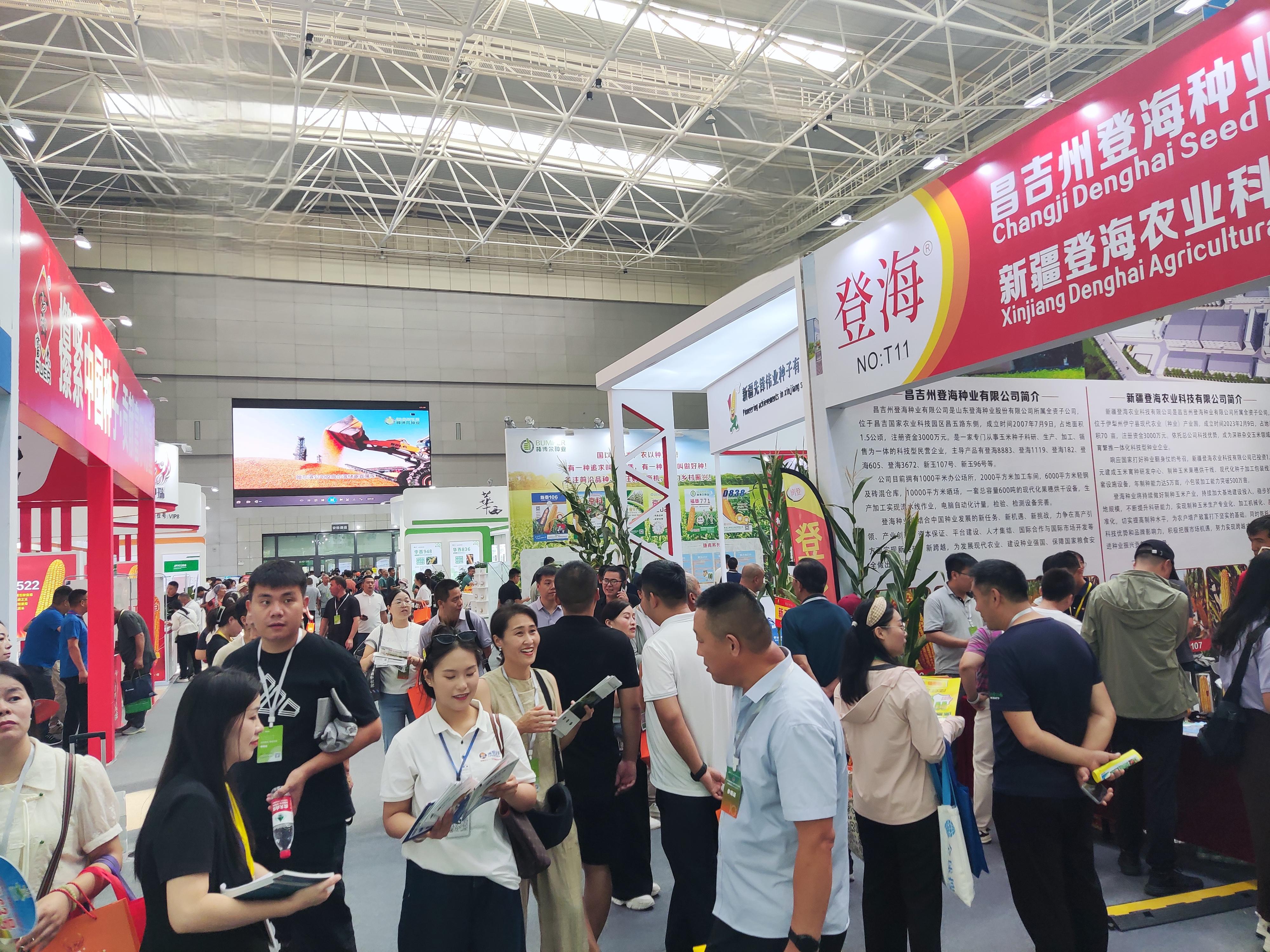 现场图片
