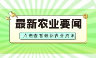 智慧农机“打头阵” 新疆棉花播种啦