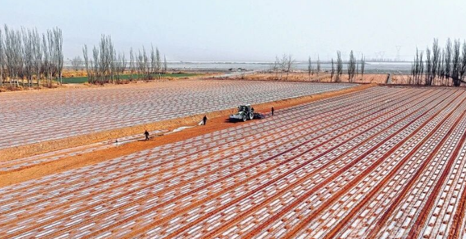 田间装上“智慧脑”——从新疆春耕看科技赋能农业