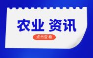 农业农村部党组召开会议强调 扎实推进农业农村服务业扩能提质