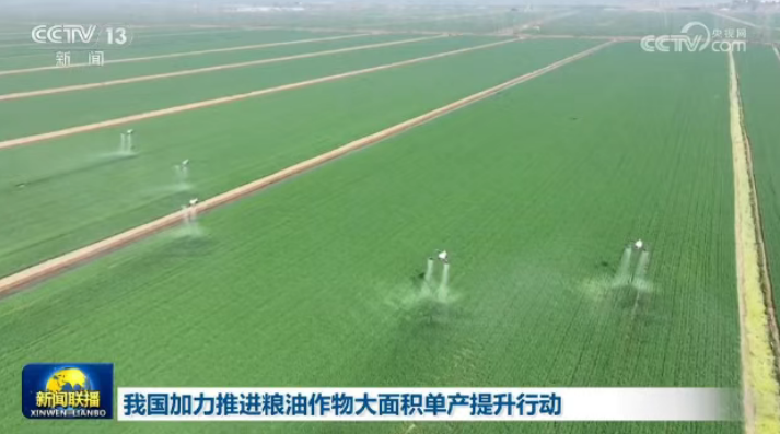 我国加力推进粮油作物大面积单产提升行动