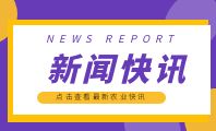 我国拟修订农业法加快建设农业强国