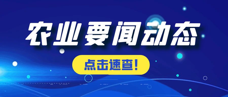 新疆：推进南疆设施农业高质量发展　打造“戈壁沙漠菜仓”