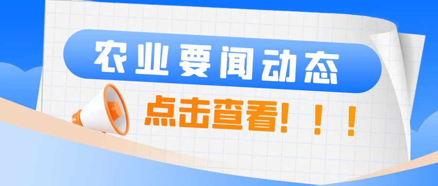 农业农村部登记推出新一批非主要农作物品种